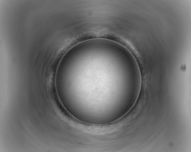 X0000091970018200709131348
