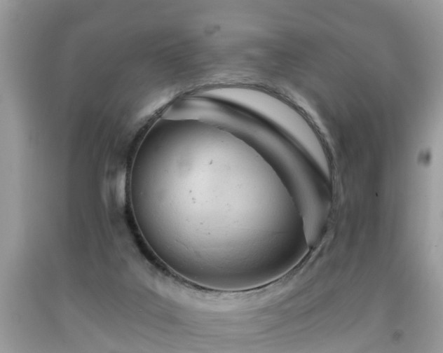 X0000091970019200709131348