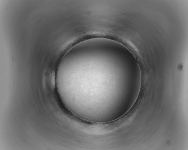 X0000091970020200709131348