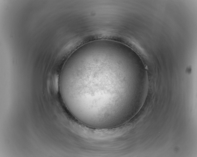 X0000091970022200709131348