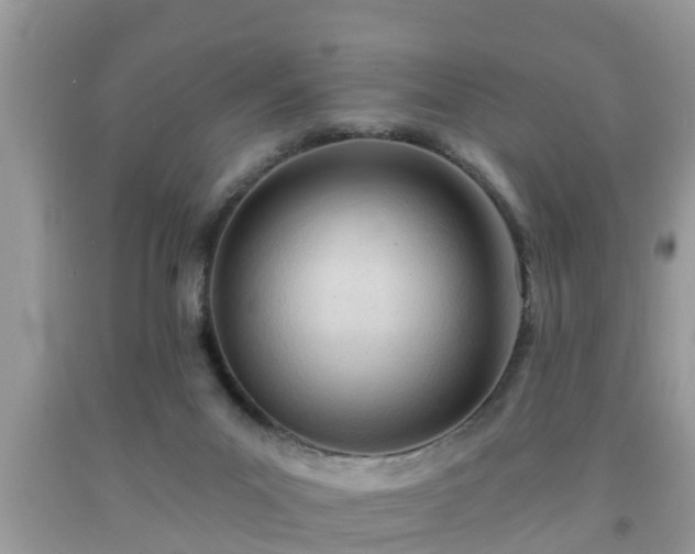X0000091970023200709131348