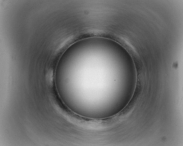 X0000091970024200709131348