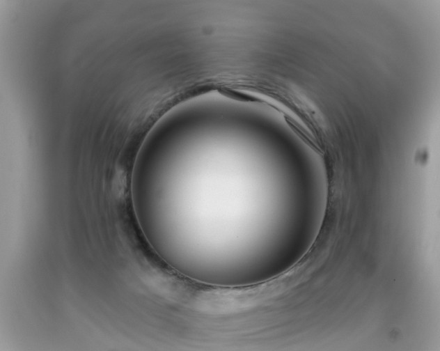 X0000091970025200709131348