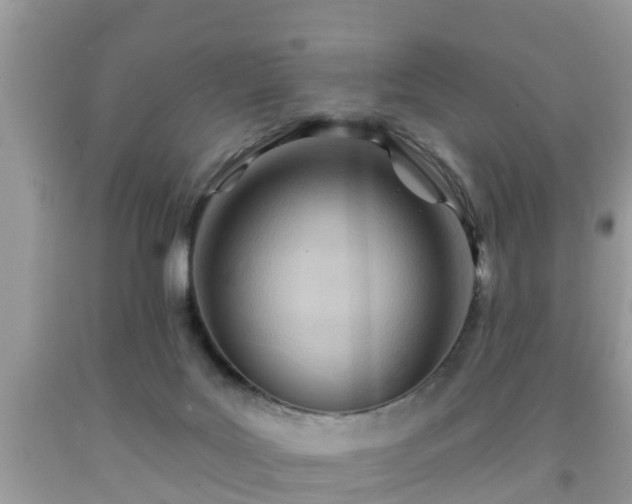 X0000091970027200709131348