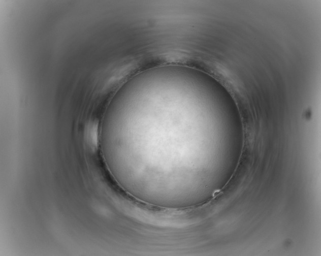 X0000091970028200709131348