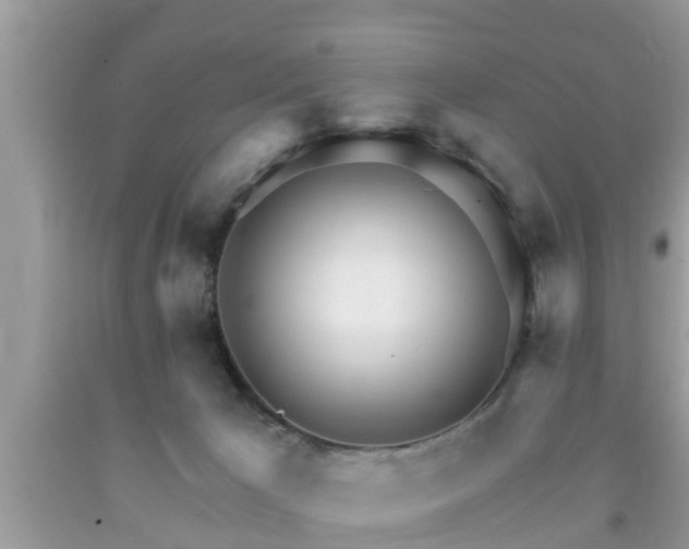 X0000091970029200709131348