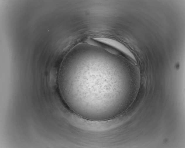 X0000091970030200709131348