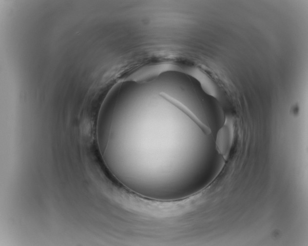 X0000091970031200709131348