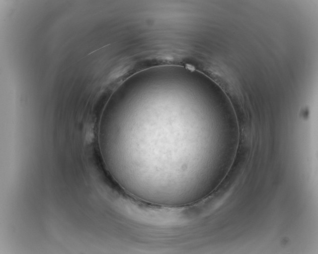 X0000091970032200709131348