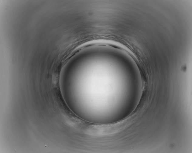 X0000091970033200709131348