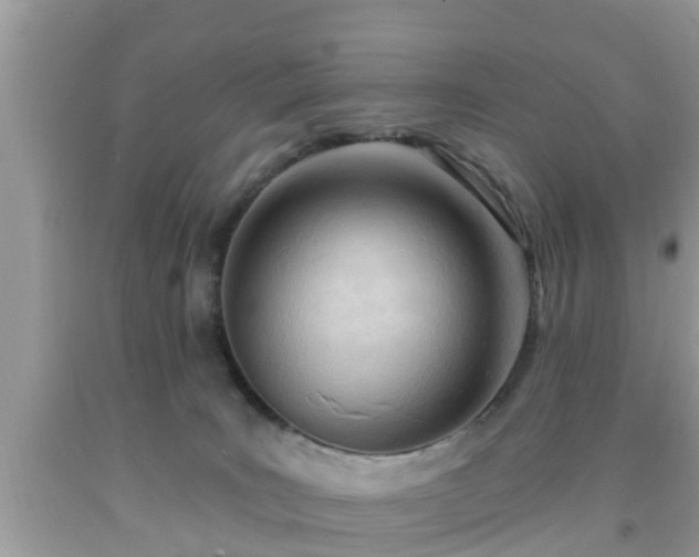 X0000091970035200709131348