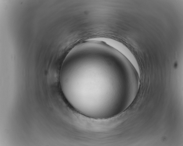 X0000091970039200709131348
