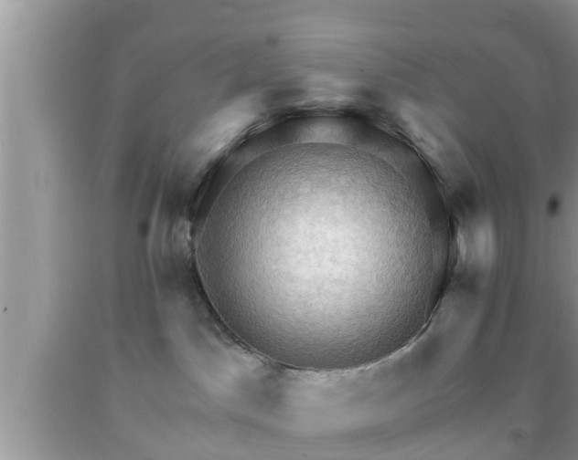 X0000091970045200709131348