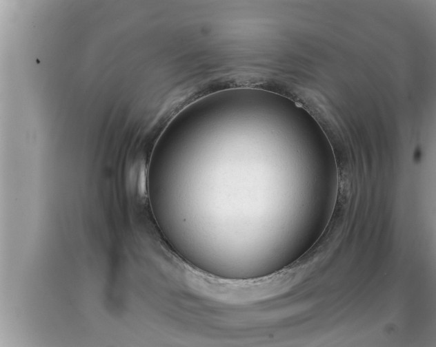X0000091970046200709131348