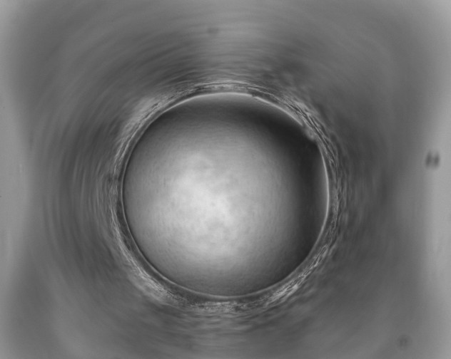 X0000091970049200709131347