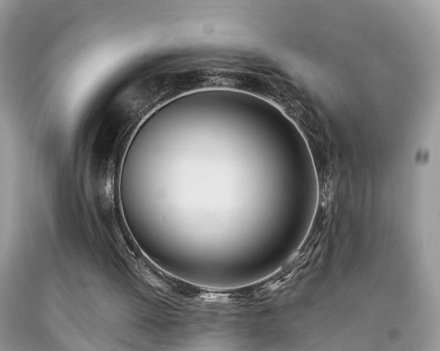 X0000091970052200709131347