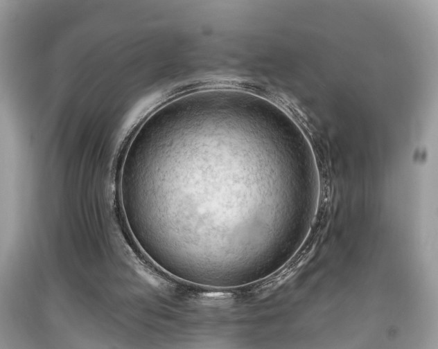 X0000091970053200709131347
