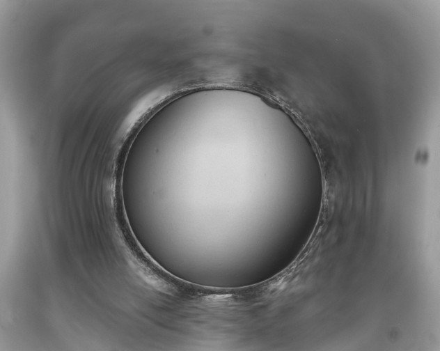 X0000091970054200709131347