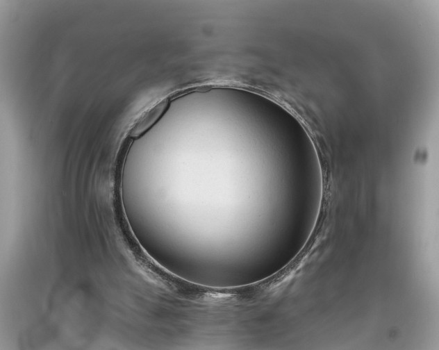 X0000091970055200709131347