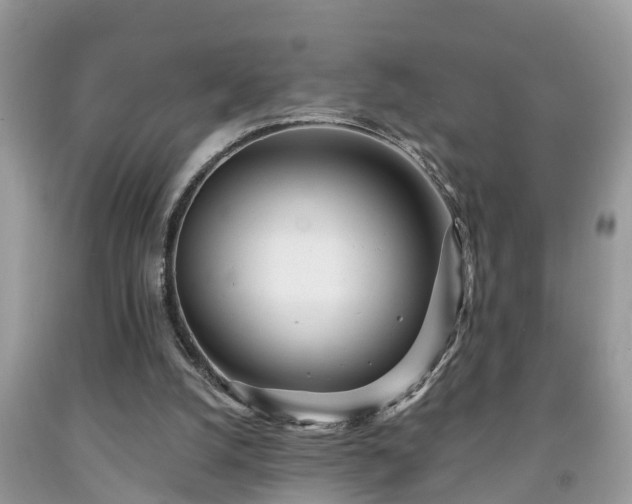 X0000091970056200709131347