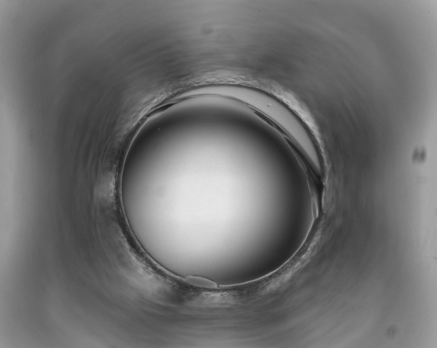 X0000091970057200709131347