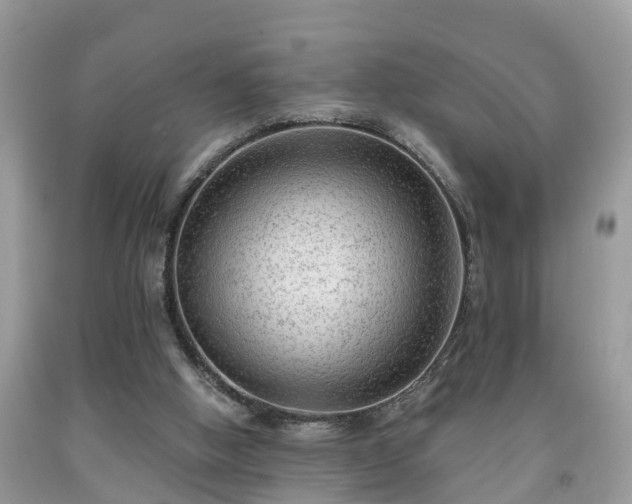 X0000091970058200709131347