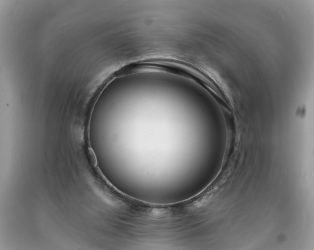 X0000091970060200709131347