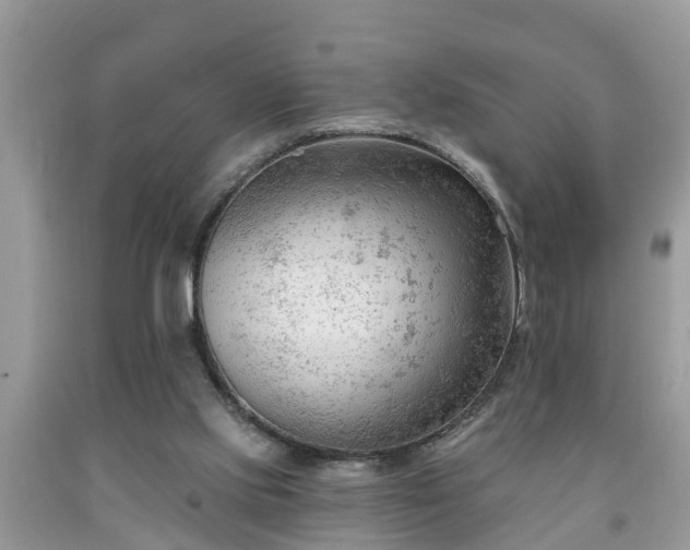 X0000091970061200709131347