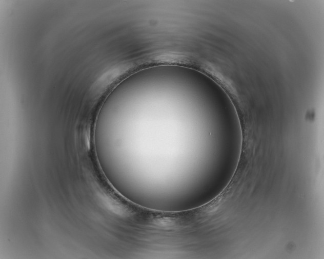 X0000091970062200709131347