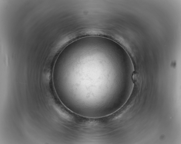 X0000091970063200709131347