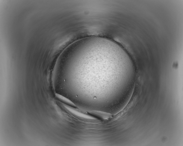 X0000091970066200709131347