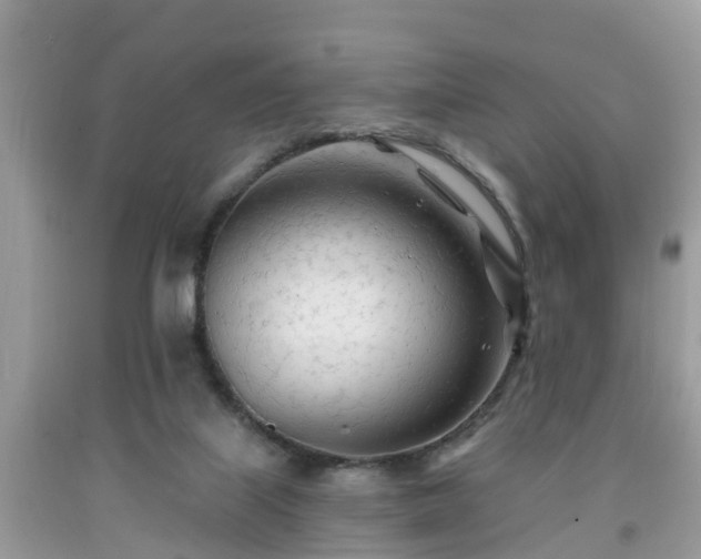 X0000091970067200709131347