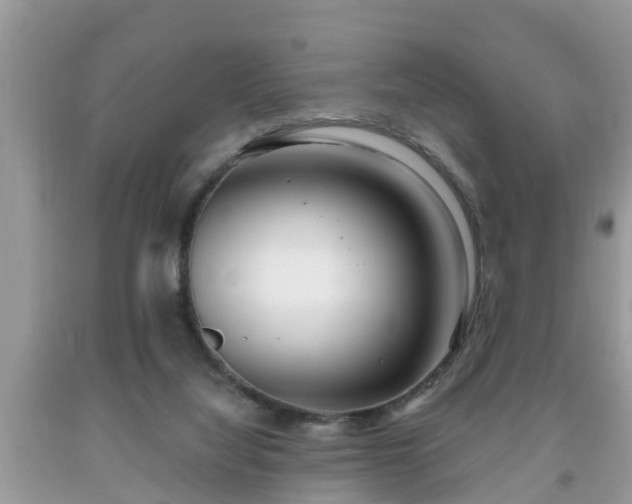 X0000091970068200709131347