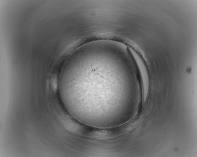 X0000091970069200709131347