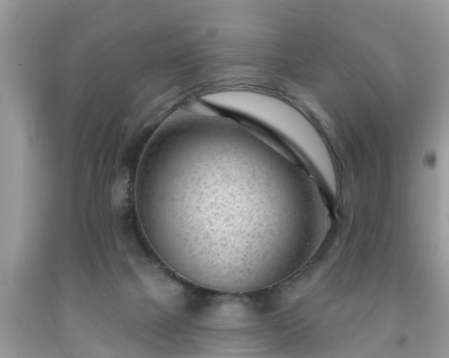 X0000091970073200709131347