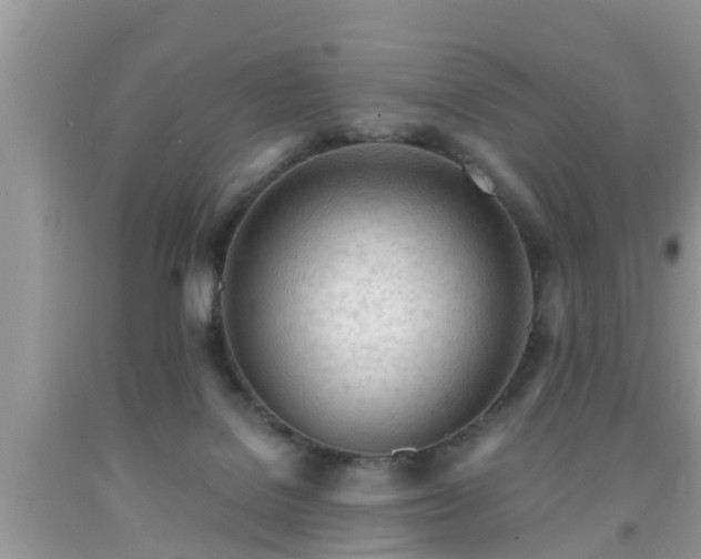 X0000091970076200709131347