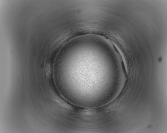 X0000091970077200709131347