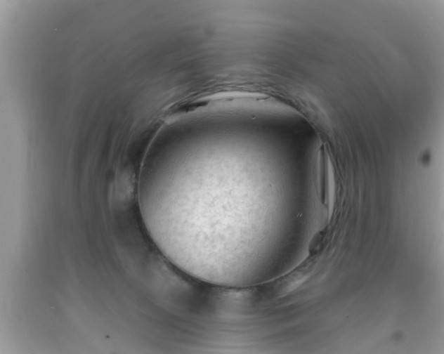 X0000091970081200709131347