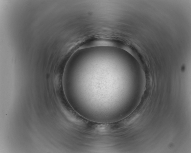 X0000091970088200709131348