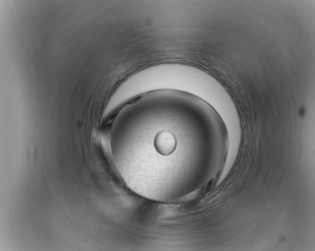 X0000091970089200709131348