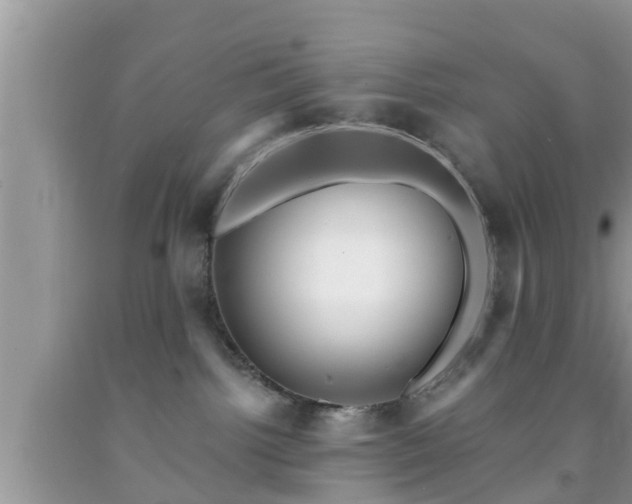 X0000091970092200709131348