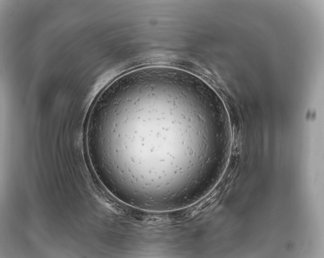 X0000091970099200709131347