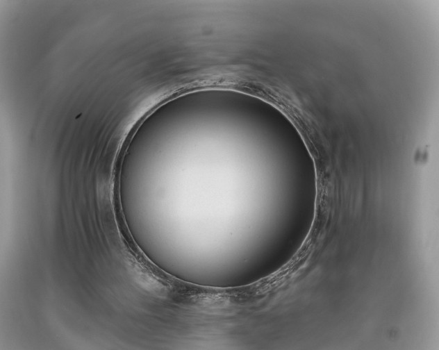 X0000091970100200709131347