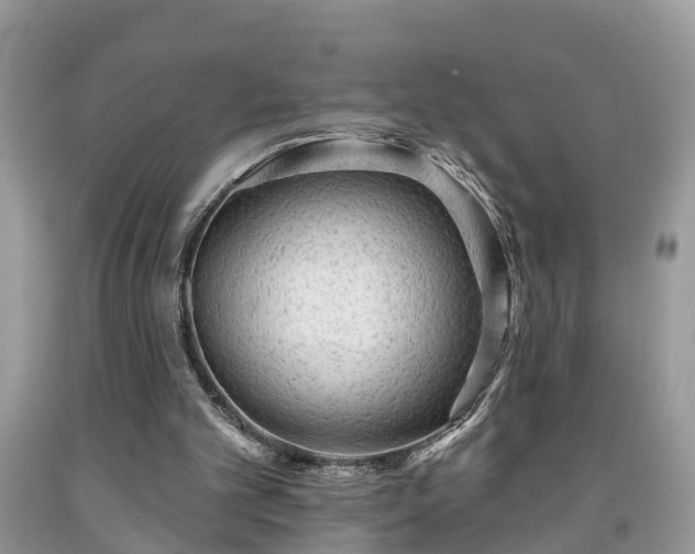 X0000091970101200709131347