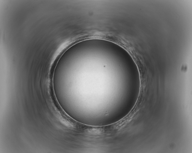 X0000091970102200709131347