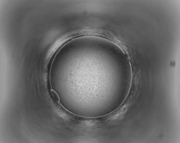 X0000091970103200709131347