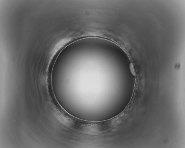 X0000091970104200709131347
