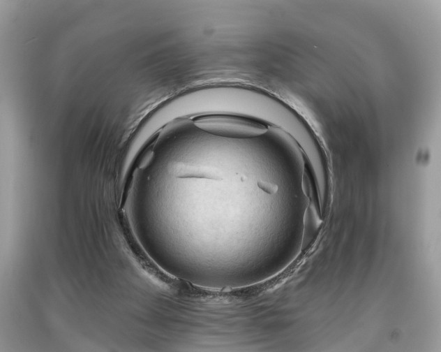 X0000091970105200709131347