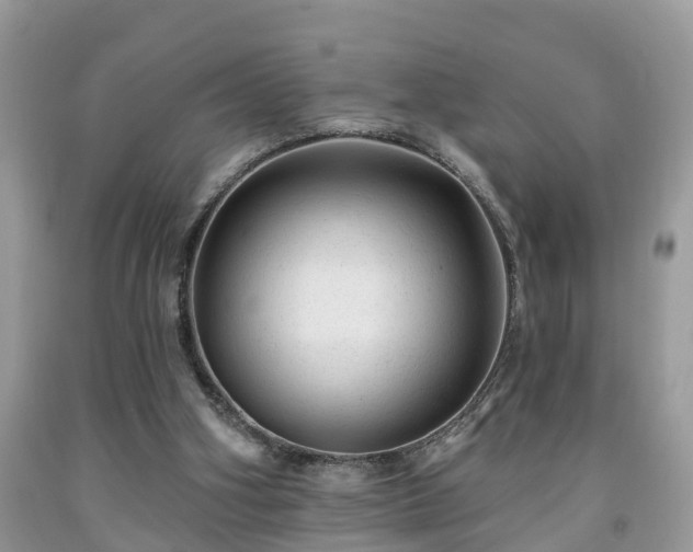 X0000091970106200709131347