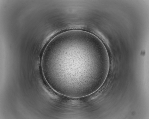 X0000091970107200709131347